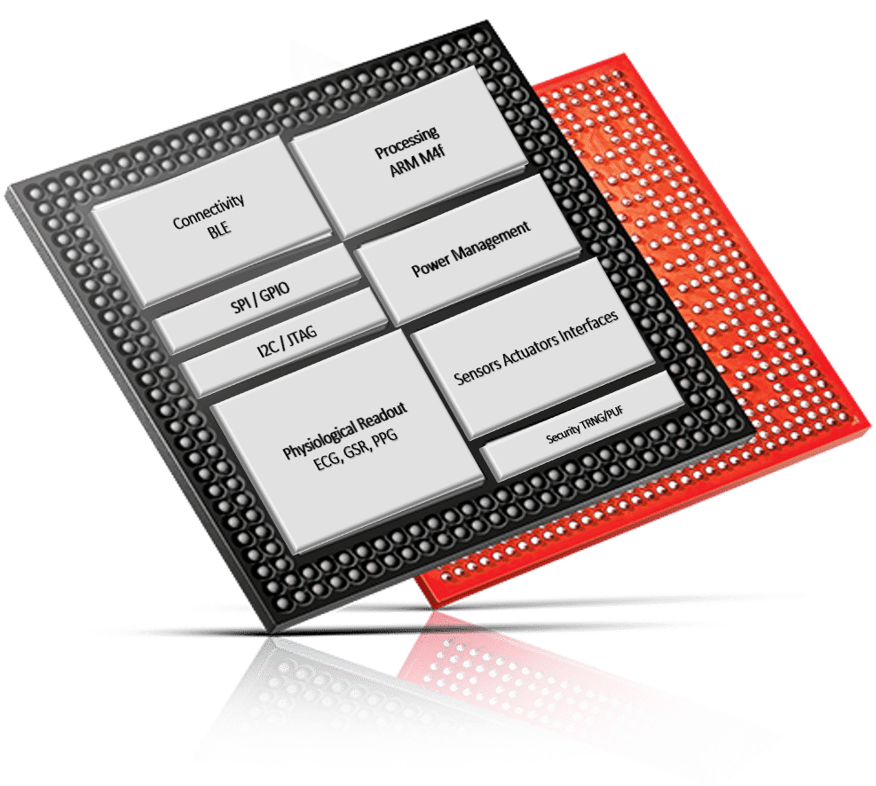 ASIC with eFPGA